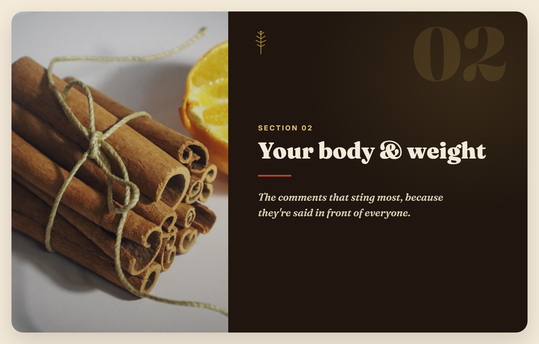 Section 2: your body and weight