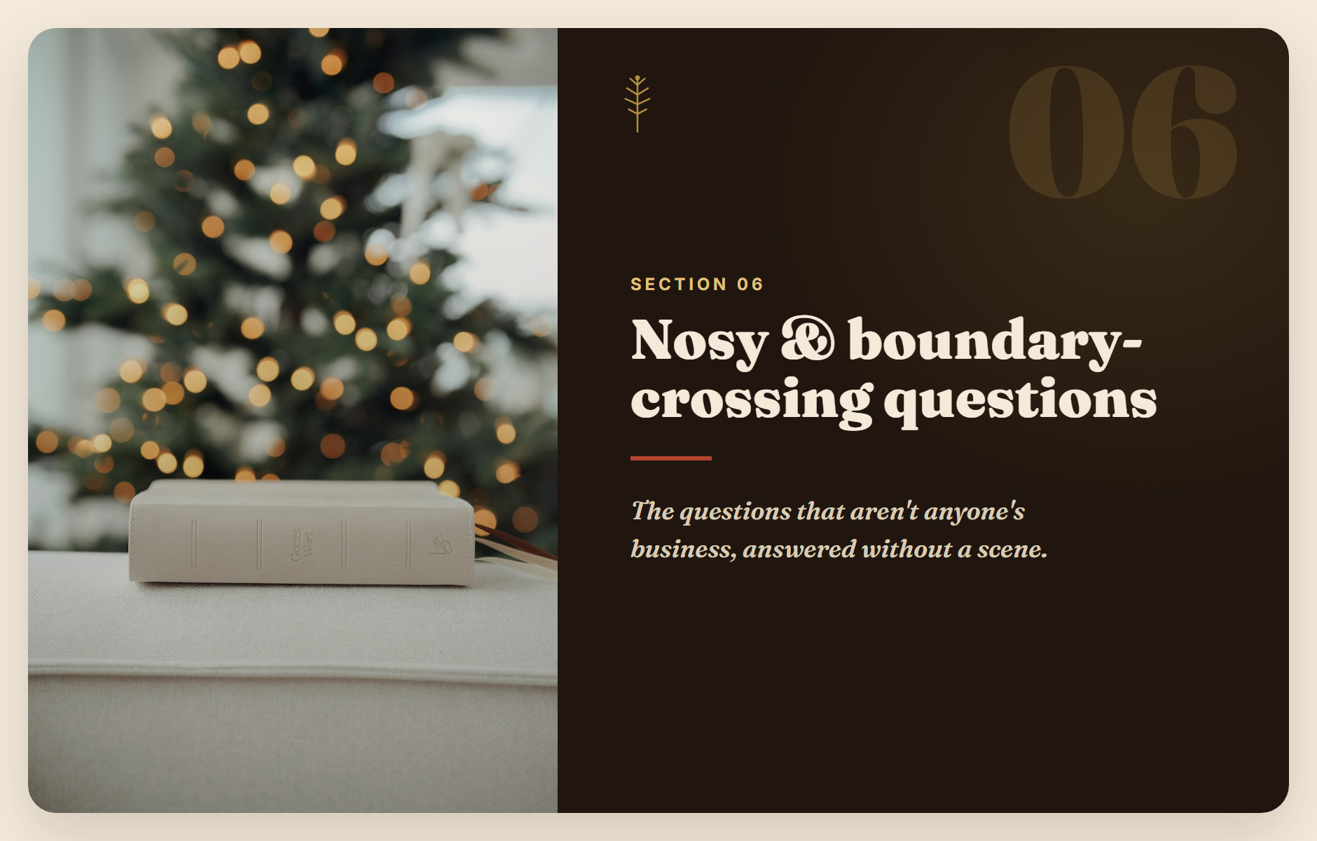 Section 6: nosy and boundary-crossing questions
